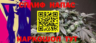 spice Брянск