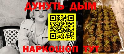 spice Брянск