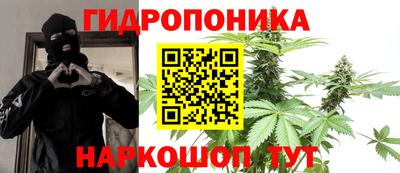 спиды Боровичи