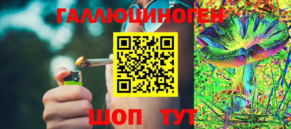 Галлюциногенные грибы мицелий Печора